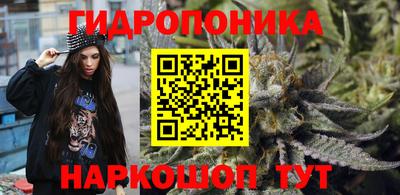 стафф Рязань