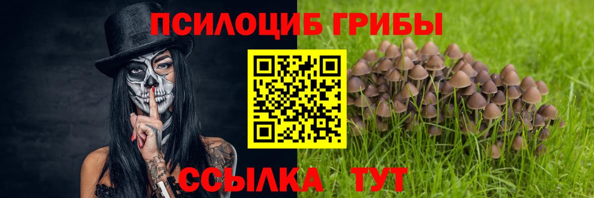 Галлюциногенные грибы Magic Shrooms Глазов
