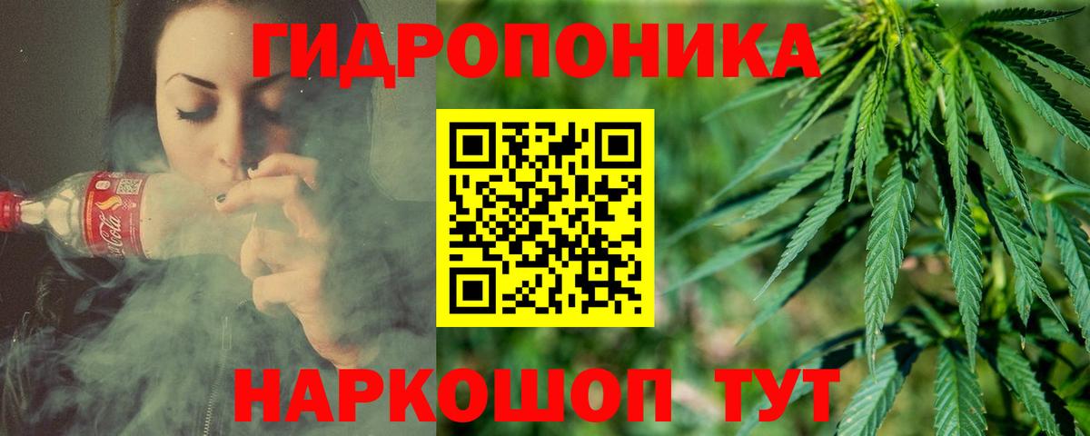 Канабис семена Глазов